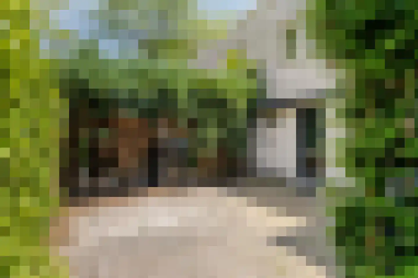 Wim Brugmanstraat 10 Oisterwijk thumbnail 6