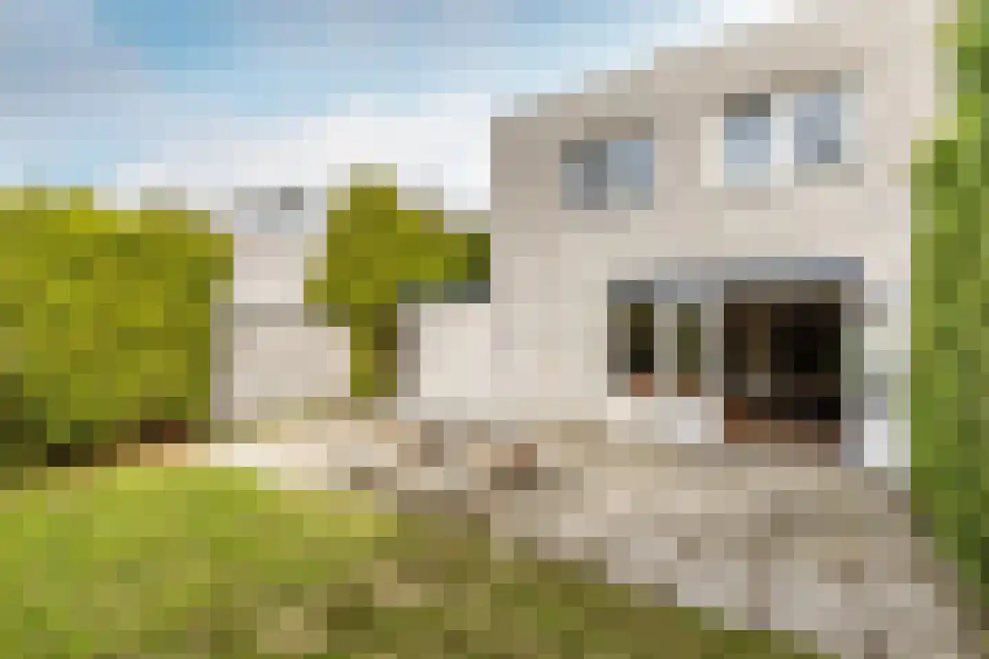Wim Brugmanstraat 6 Oisterwijk thumbnail 23