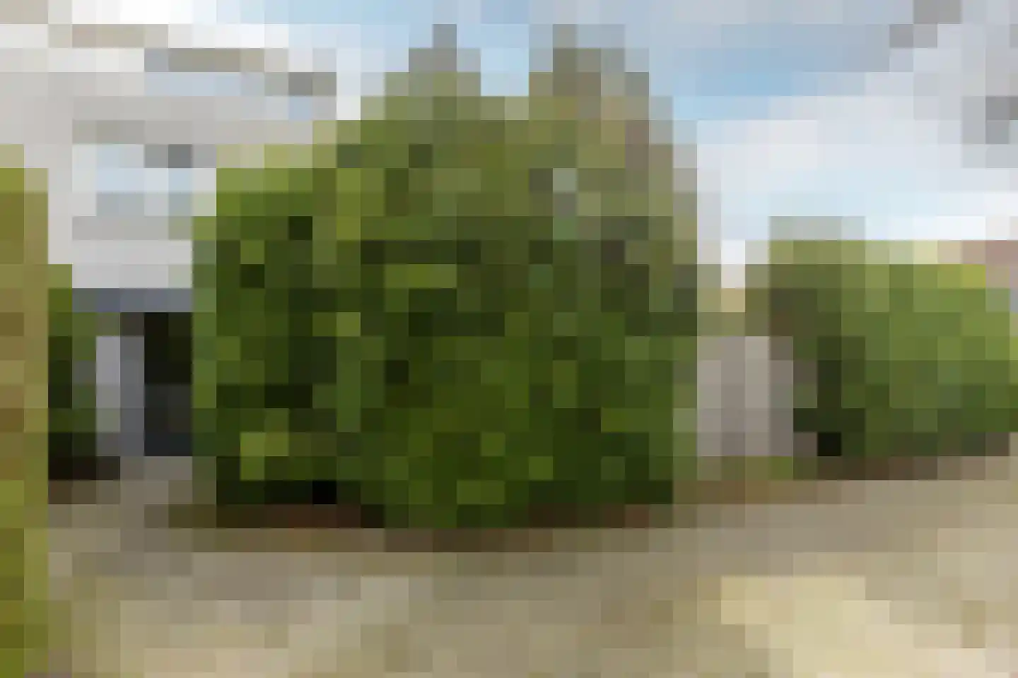 Wim Brugmanstraat 6 Oisterwijk thumbnail 28