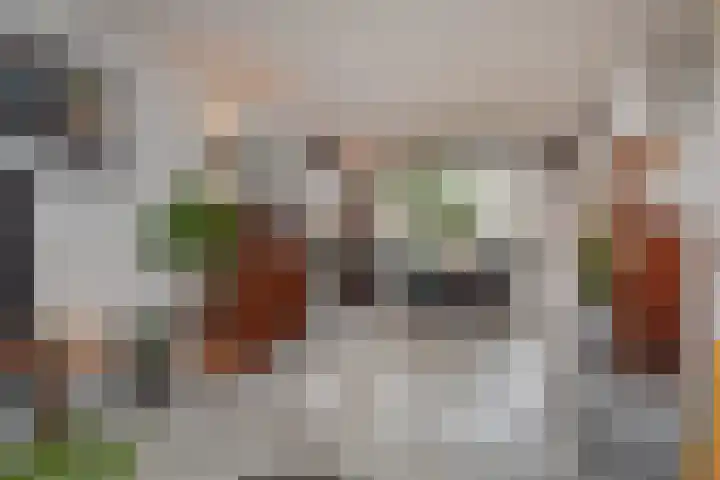 Wim Gerreselaan 17 Den Haag thumbnail 14