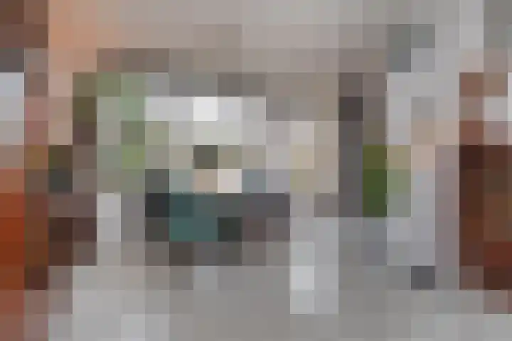 Wim Gerreselaan 17 Den Haag thumbnail 15