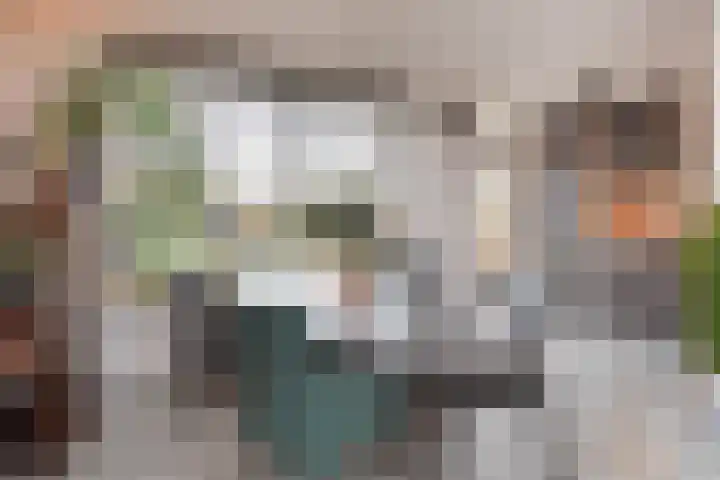 Wim Gerreselaan 17 Den Haag thumbnail 18