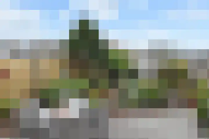 Wim Gerreselaan 17 Den Haag thumbnail 20