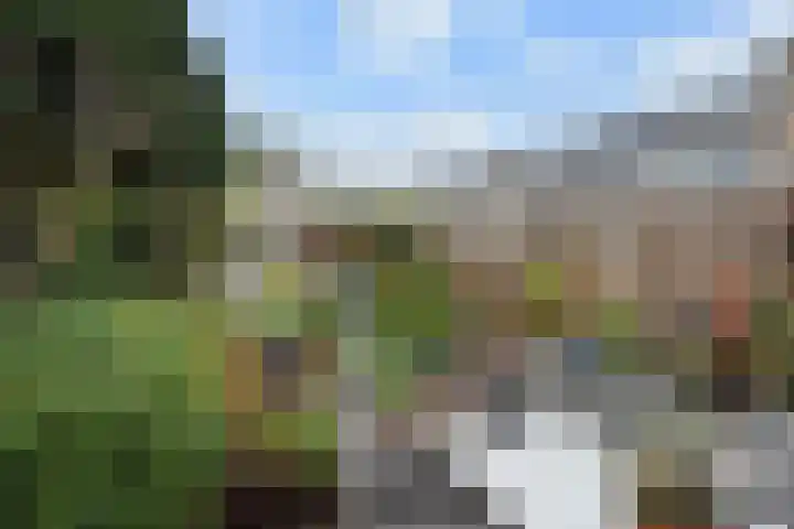 Wim Gerreselaan 17 Den Haag thumbnail 21