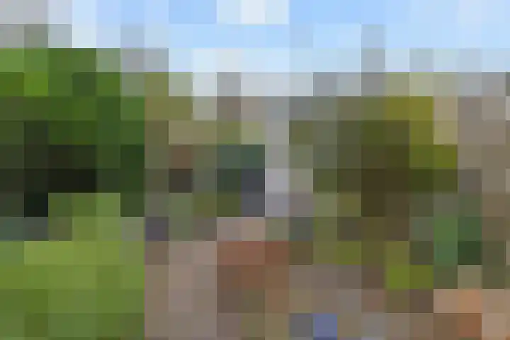 Wim Gerreselaan 17 Den Haag thumbnail 22