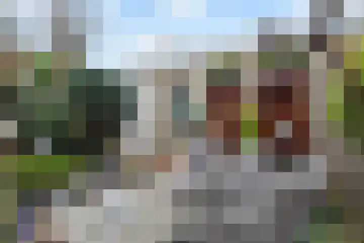 Wim Gerreselaan 17 Den Haag thumbnail 23