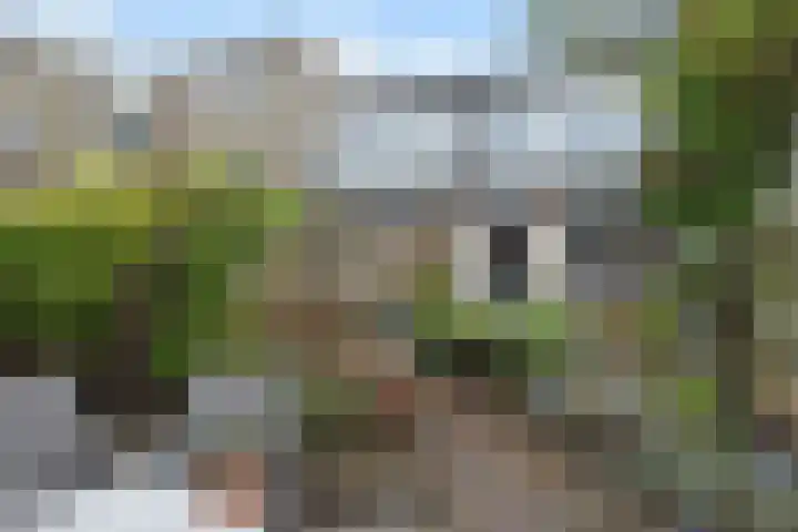 Wim Gerreselaan 17 Den Haag thumbnail 24