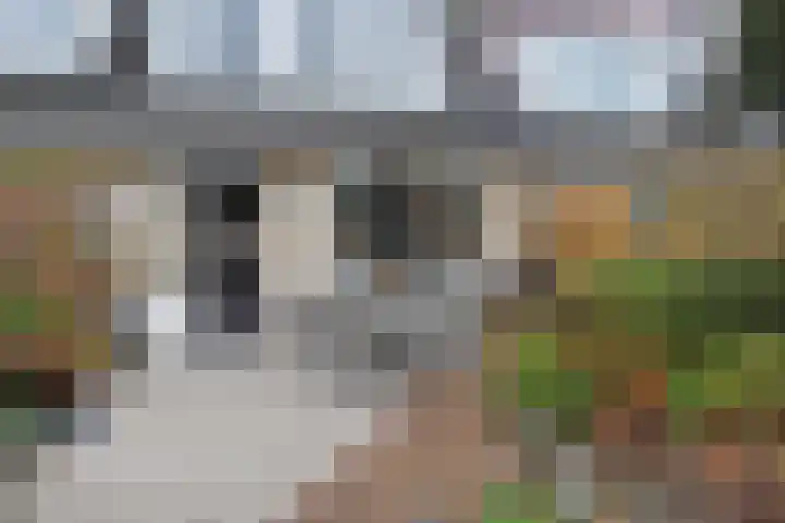 Wim Gerreselaan 17 Den Haag thumbnail 25