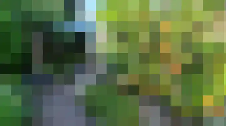 Wim Gerreselaan 17 Den Haag thumbnail 29