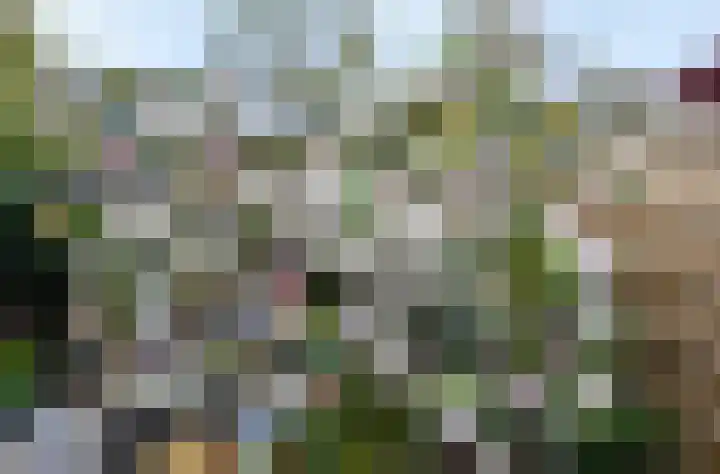 Wim Gerreselaan 17 Den Haag thumbnail 32