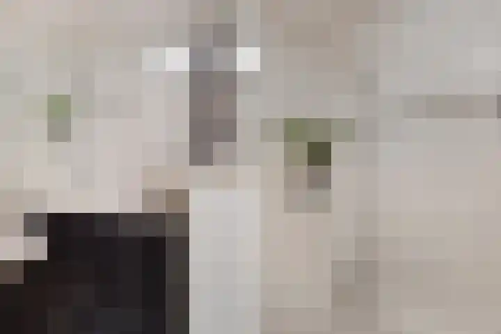 Wim Gerreselaan 17 Den Haag thumbnail 38