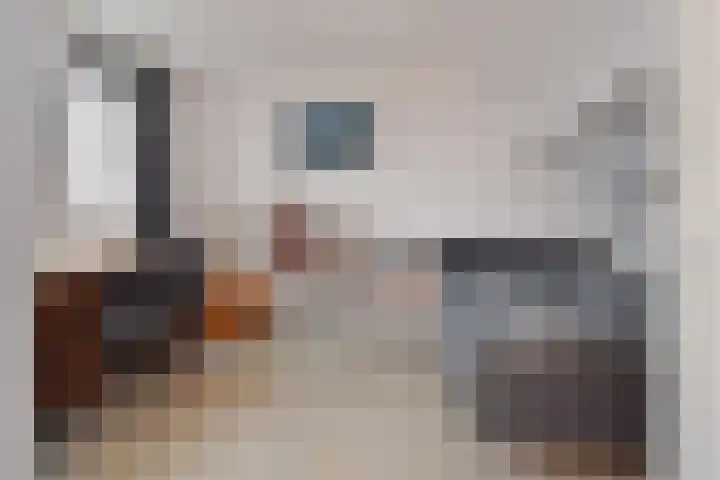 Wim Gerreselaan 17 Den Haag thumbnail 43