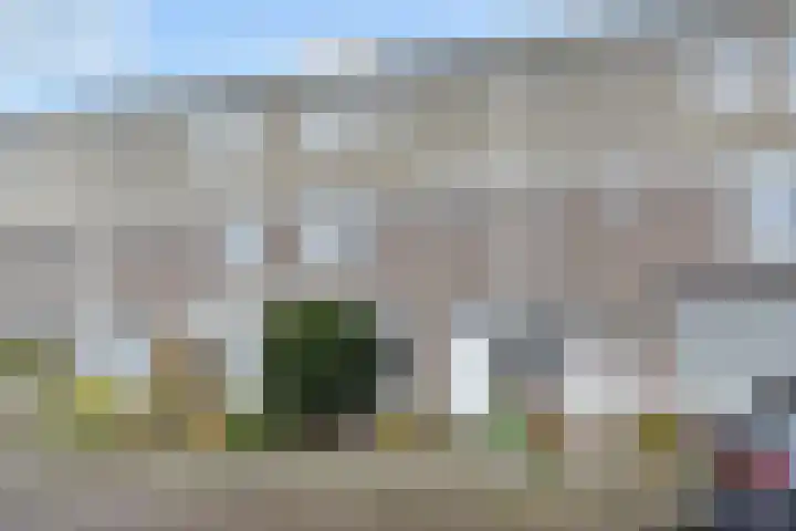 Wim Gerreselaan 17 Den Haag thumbnail 47