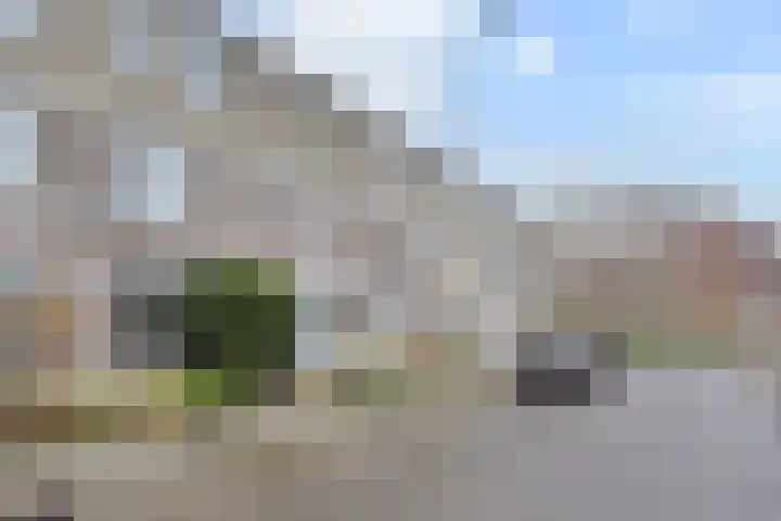 Wim Gerreselaan 17 Den Haag thumbnail 48