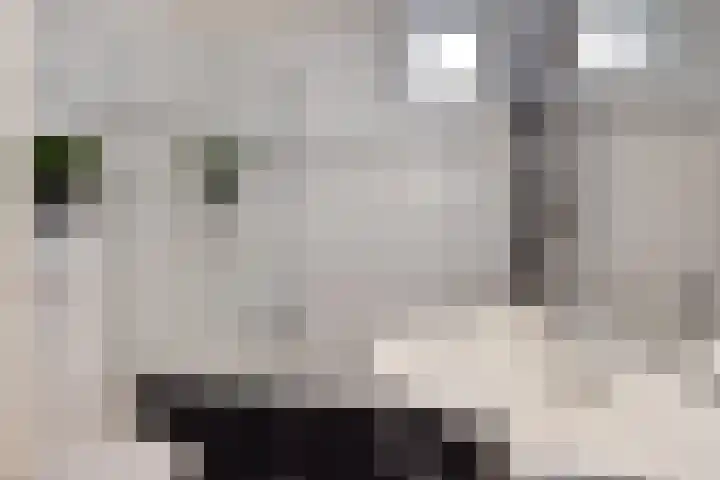 Wim Gerreselaan 17 Den Haag thumbnail 5