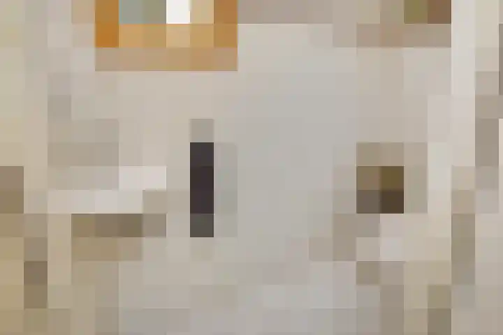 Wim Gerreselaan 17 Den Haag thumbnail 9