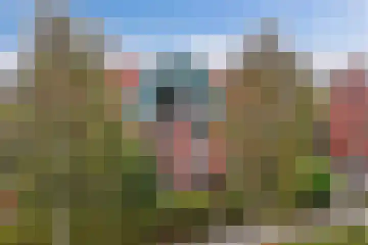 Wim Kanlaan 13 Beverwijk thumbnail 6