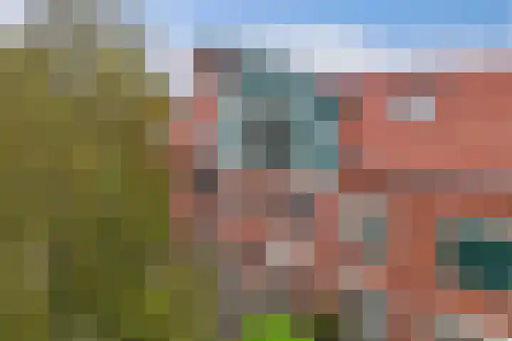 Wim Kanlaan 13 Beverwijk thumbnail 7