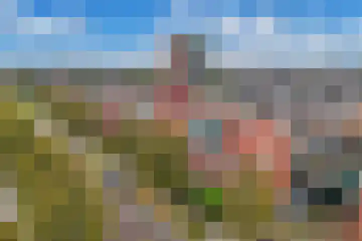 Wim Kanlaan 13 Beverwijk thumbnail 8