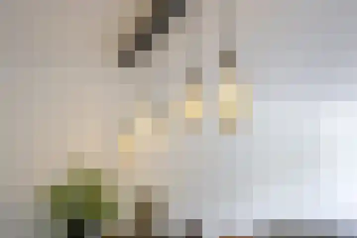 Wim Kanlaan 4 Beverwijk thumbnail 10