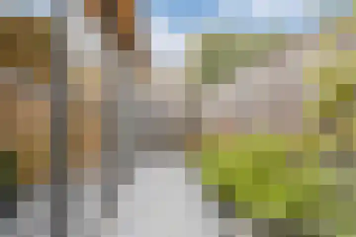 Wim Kanlaan 4 Beverwijk thumbnail 17