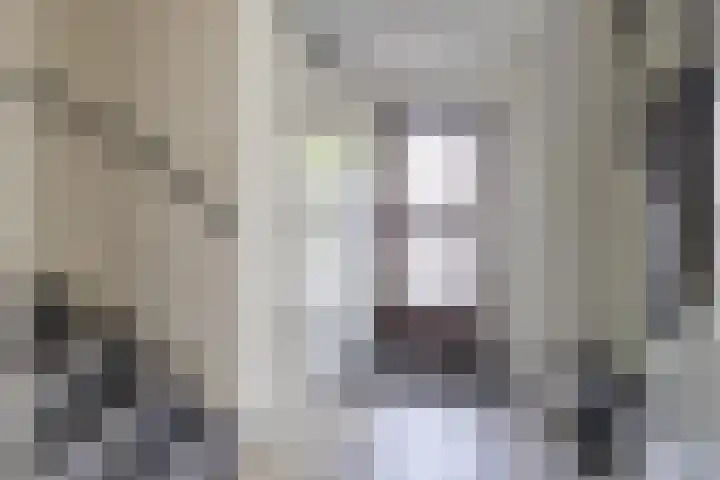 Wim Kanlaan 4 Beverwijk thumbnail 21