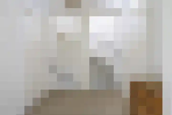 Wim Kanlaan 4 Beverwijk thumbnail 24