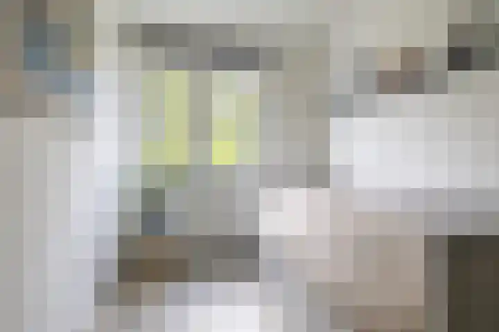Wim Kanlaan 4 Beverwijk thumbnail 28