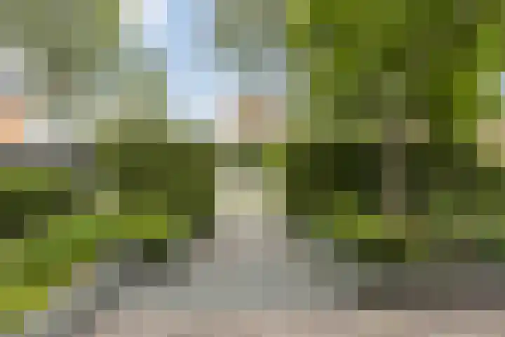 Wim Kanlaan 4 Beverwijk thumbnail 43