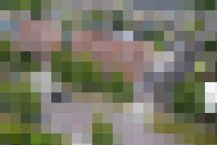 Wim Kanlaan 4 Beverwijk thumbnail 45