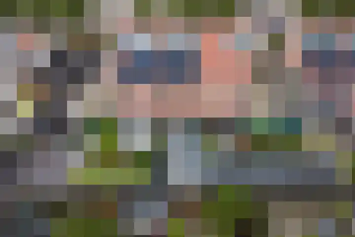 Wim Kanlaan 4 Beverwijk thumbnail 47