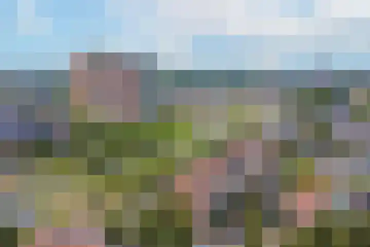 Wim Kanlaan 4 Beverwijk thumbnail 49