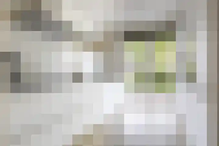 Wim Kanlaan 4 Beverwijk thumbnail 7