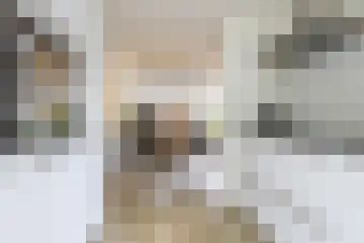 Wim Kanlaan 4 Beverwijk thumbnail 9