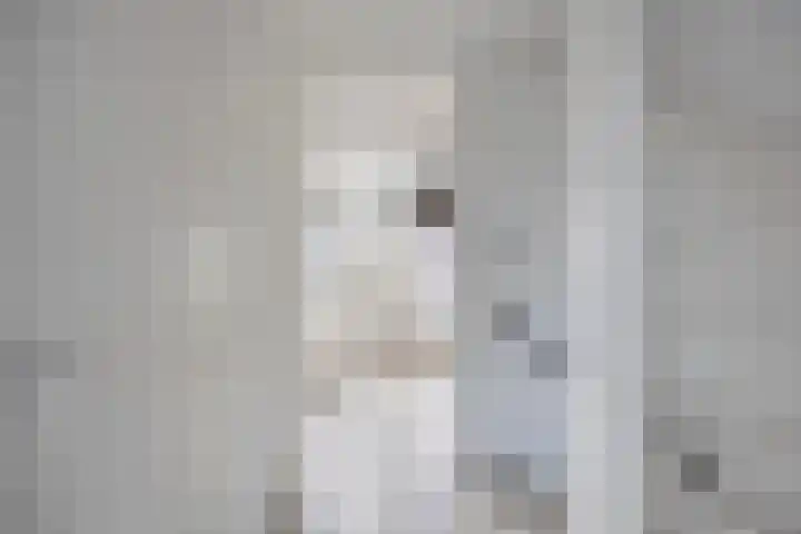 Wim Kanplein 13 Den Haag thumbnail 13