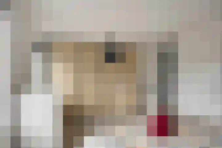 Wim Kanplein 13 Den Haag thumbnail 16