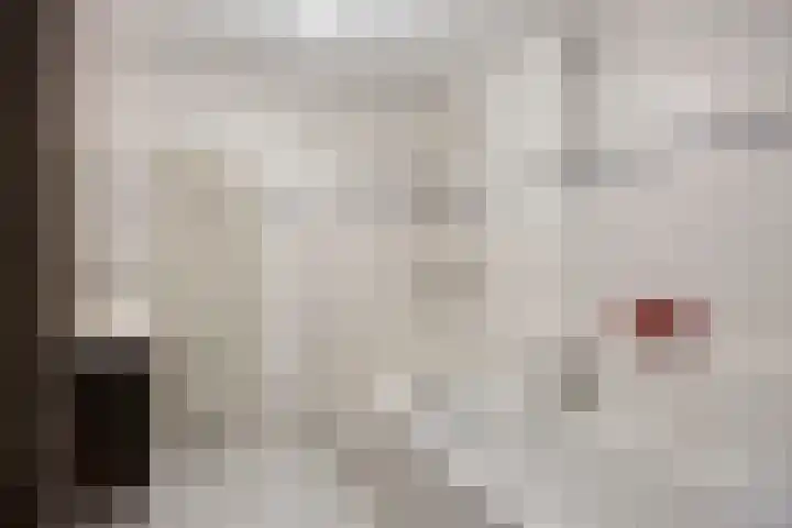Wim Kanplein 13 Den Haag thumbnail 17