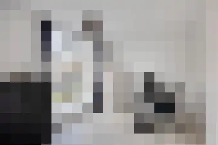 Wim Kanplein 13 Den Haag thumbnail 20