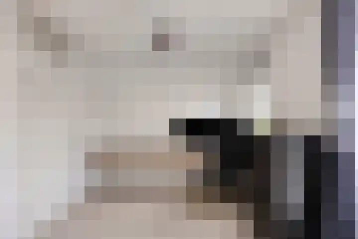 Wim Kanplein 13 Den Haag thumbnail 21