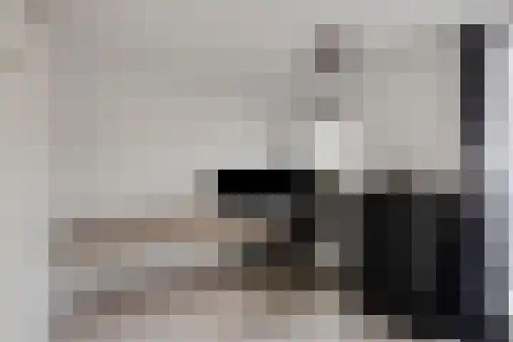Wim Kanplein 13 Den Haag thumbnail 22