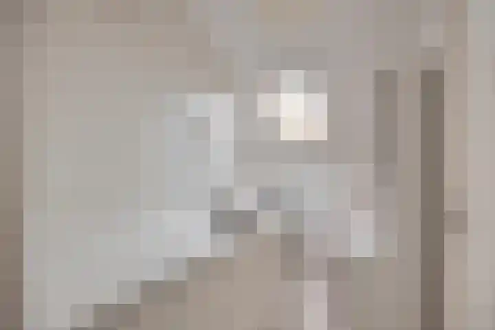Wim Kanplein 13 Den Haag thumbnail 25