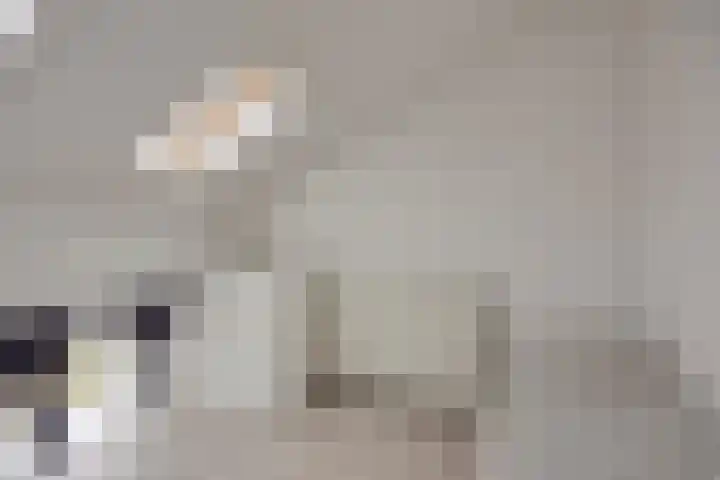 Wim Kanplein 13 Den Haag thumbnail 26