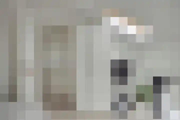 Wim Kanplein 13 Den Haag thumbnail 27