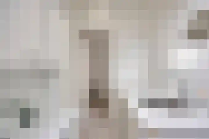 Wim Kanplein 13 Den Haag thumbnail 28