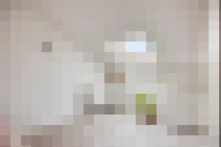 Wim Kanplein 13 Den Haag thumbnail 29