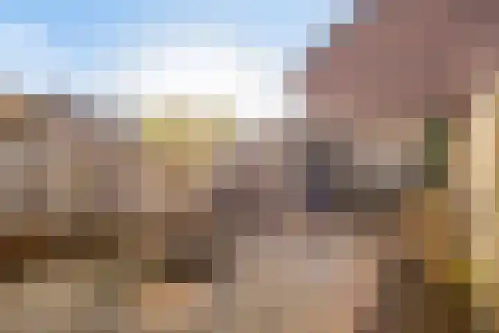 Wim Kanplein 13 Den Haag thumbnail 31
