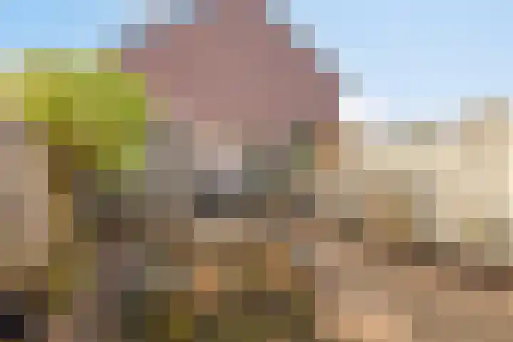 Wim Kanplein 13 Den Haag thumbnail 32