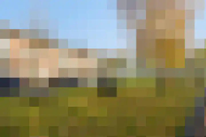 Wim Kanplein 13 Den Haag thumbnail 34
