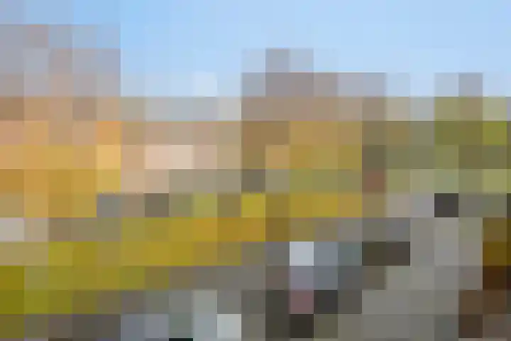 Wim Kanplein 13 Den Haag thumbnail 35