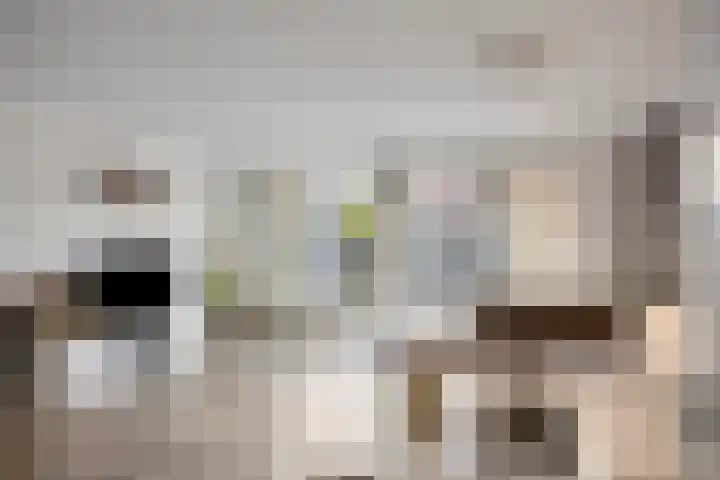 Wim Kanplein 13 Den Haag thumbnail 6